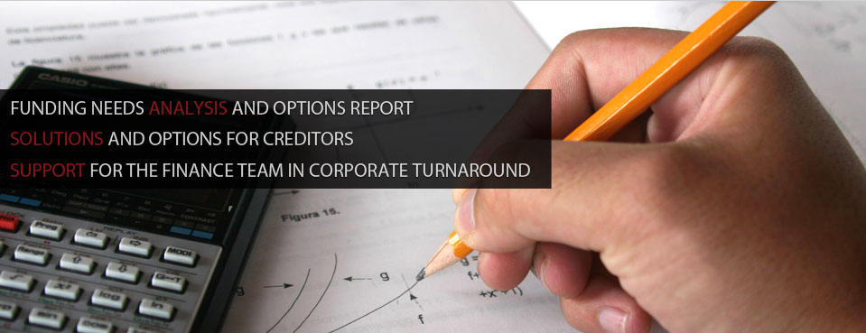 Services, , principles of corporate finance, commercial financing, business analysis, business liquidation, corporate finance, business rescue, finance support